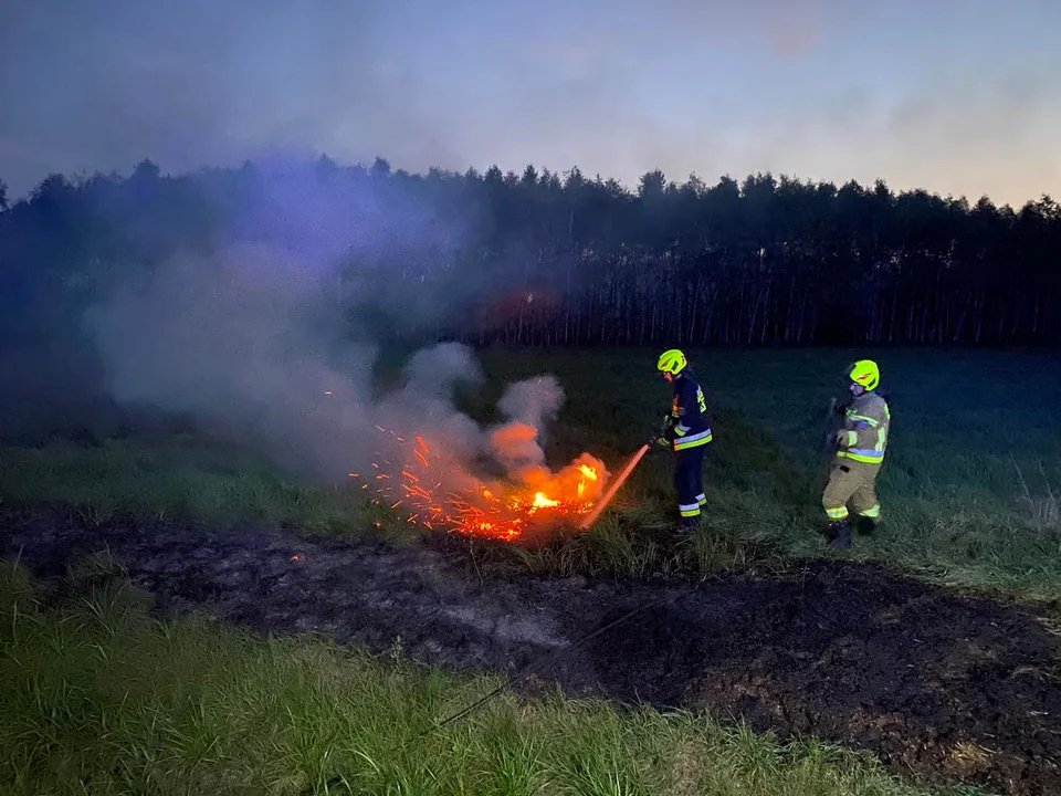 Pożary lasów i traw w powiecie kolbuszowskim