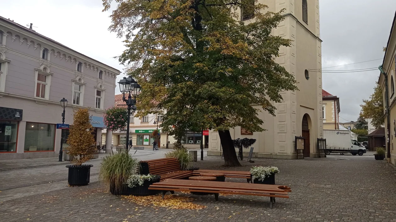 Jesienny Rzeszów. Złociste liście powoli pokrywają ulice [ZDJĘCIA]