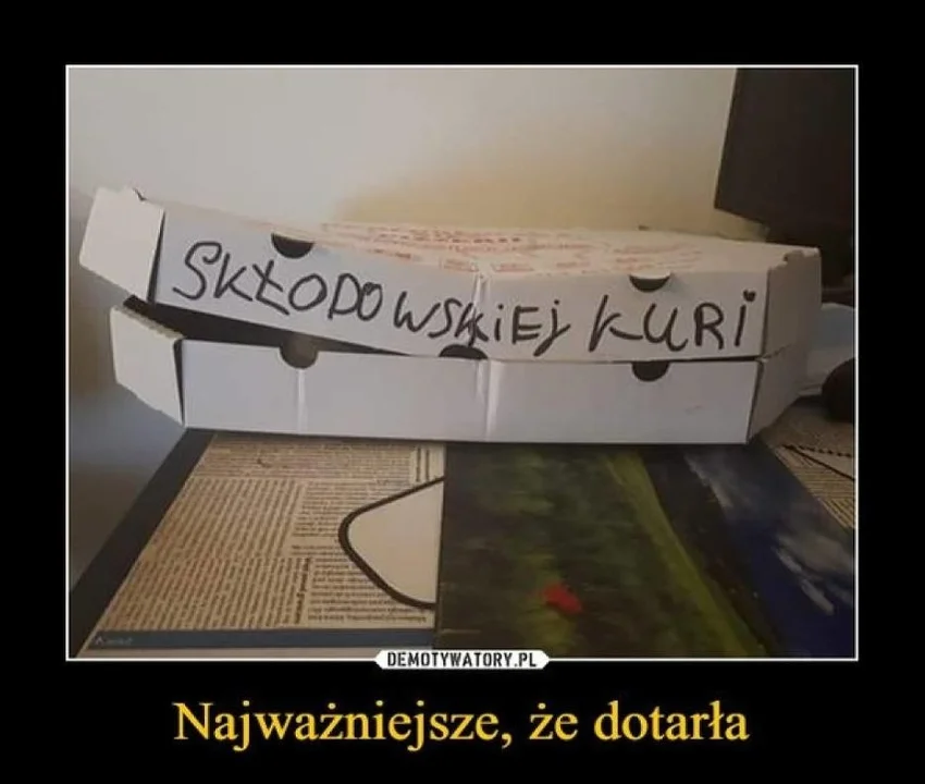 Międzynarodowy Dzień Pizzy - zobaczcie najlepsze memy