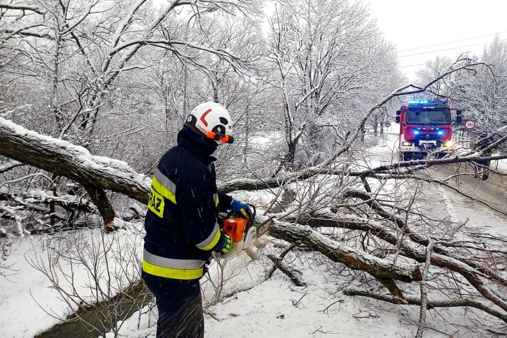 Trudne dni za strażakami z Podkarpacia. Silny wiatr, ciężki śnieg i mnóstwo szkód [ZDJĘCIA]