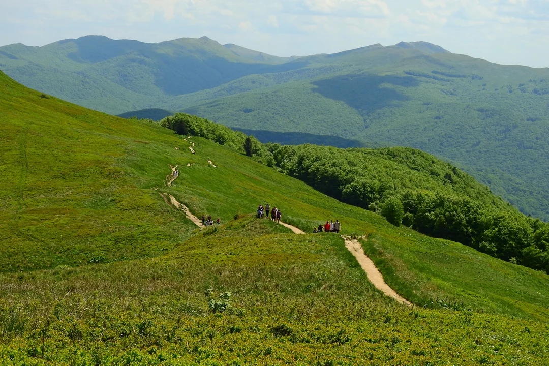 Wyjeżdżasz w Bieszczady na długi weekend czerwcowy? Przeczytaj to koniecznie [ZDJĘCIA] - Zdjęcie główne