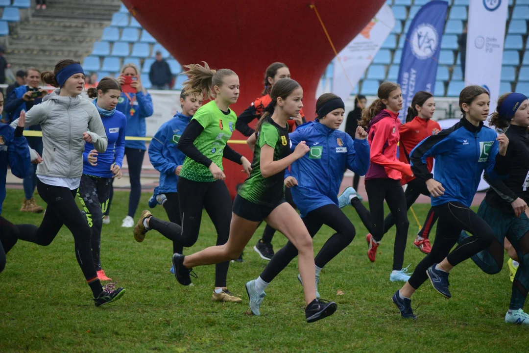 Otwarte Mistrzostwa Stalowej Woli w Biegach Przełajowych oraz Grand Prix Podkarpacia w Biegach Przełajowych. Zmagania atletów w deszczu [ZDJĘCIA - CZĘŚĆ 1] - Zdjęcie główne