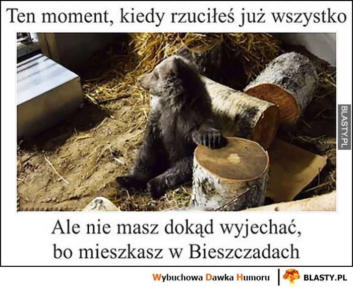 Memy o Bieszczadach