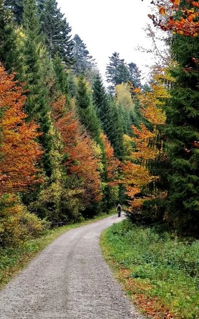 Dolina górnego Sanu