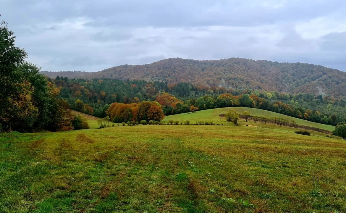 Jesienne Bieszczady