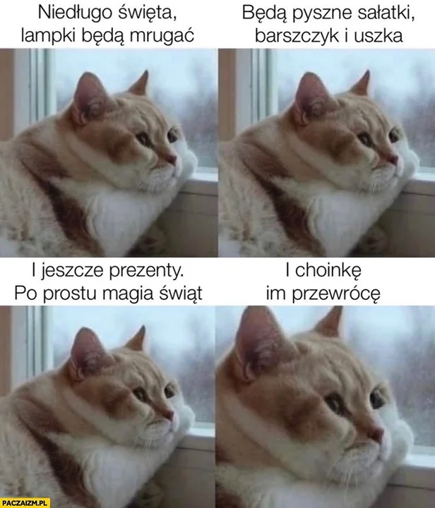 Memy na Święta Bożego Narodzenia