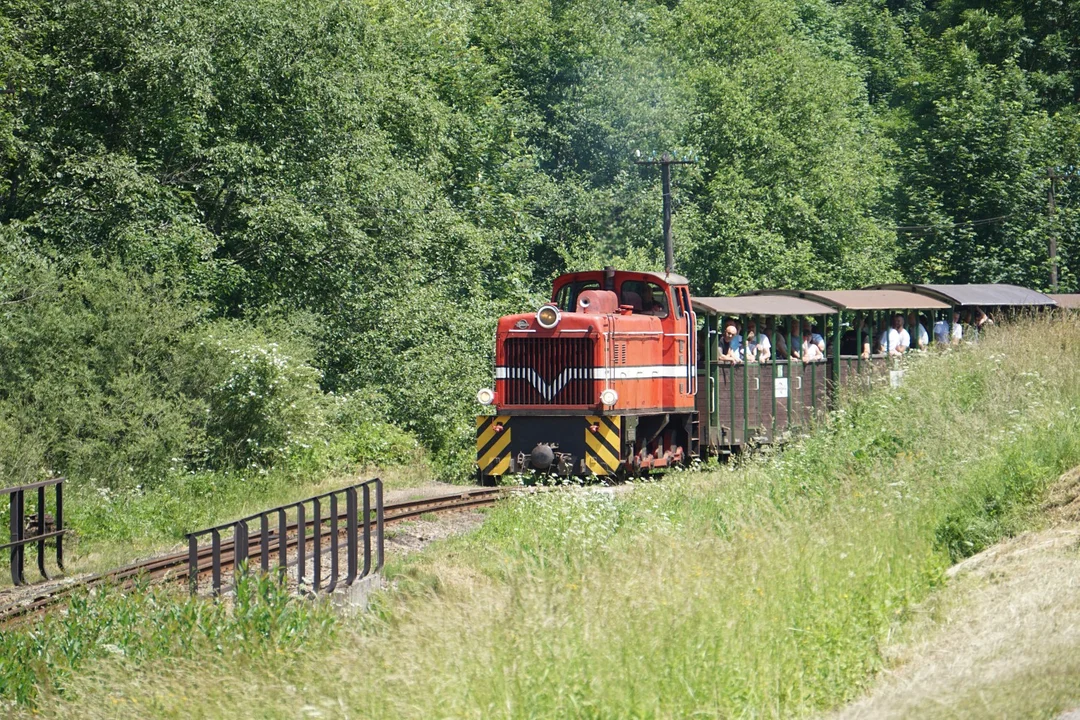Bieszczadzka Kolejka Leśna na trasie