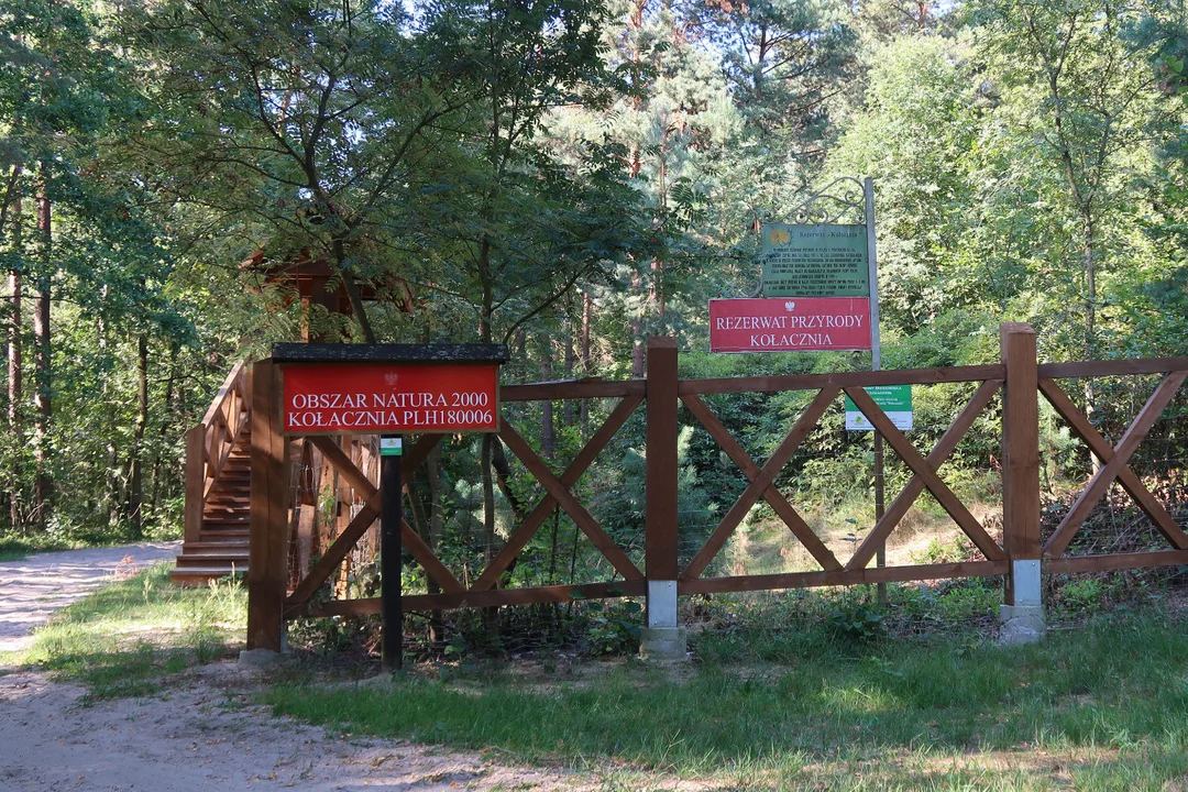 Rezerwat Kołacznia - miejsce licznych wycieczek rowerowych