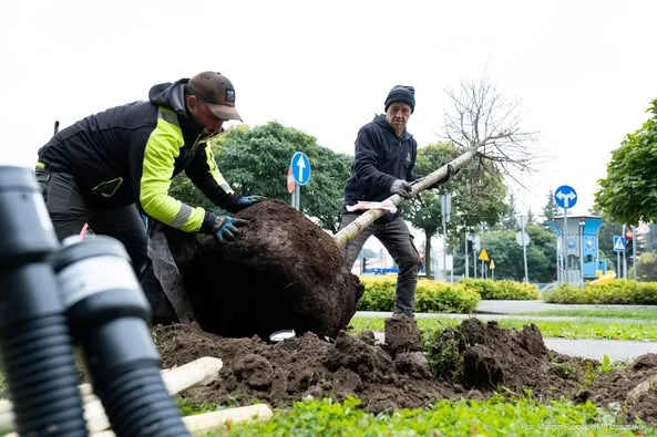 Rzeszów coraz bardziej zielony