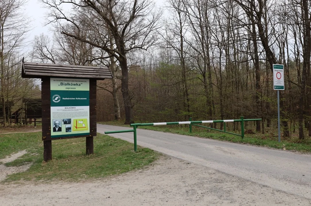 Białkówka w Nowej Wsi pod Kolbuszową