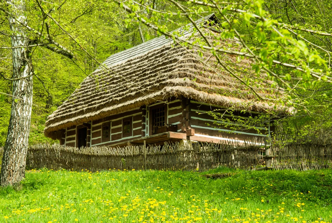 Sanocki skansen wiosną jest wyjątkowo piękny