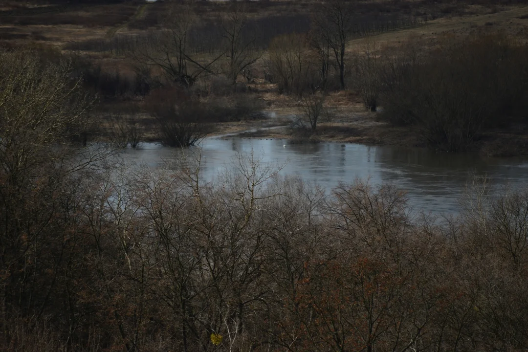 Wysoki poziom wody w Wiśle w Tarnobrzegu. Zobaczcie zdjęcia z wysokości 10. piętra