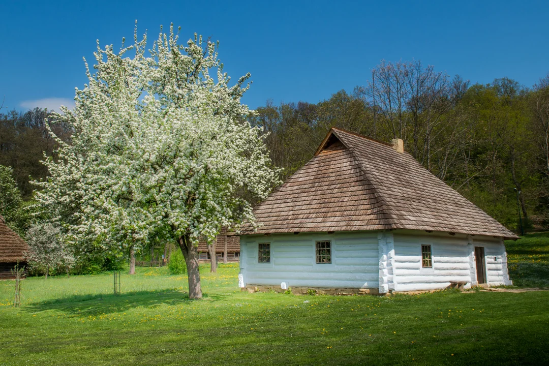 Sanocki skansen wiosną jest wyjątkowo piękny