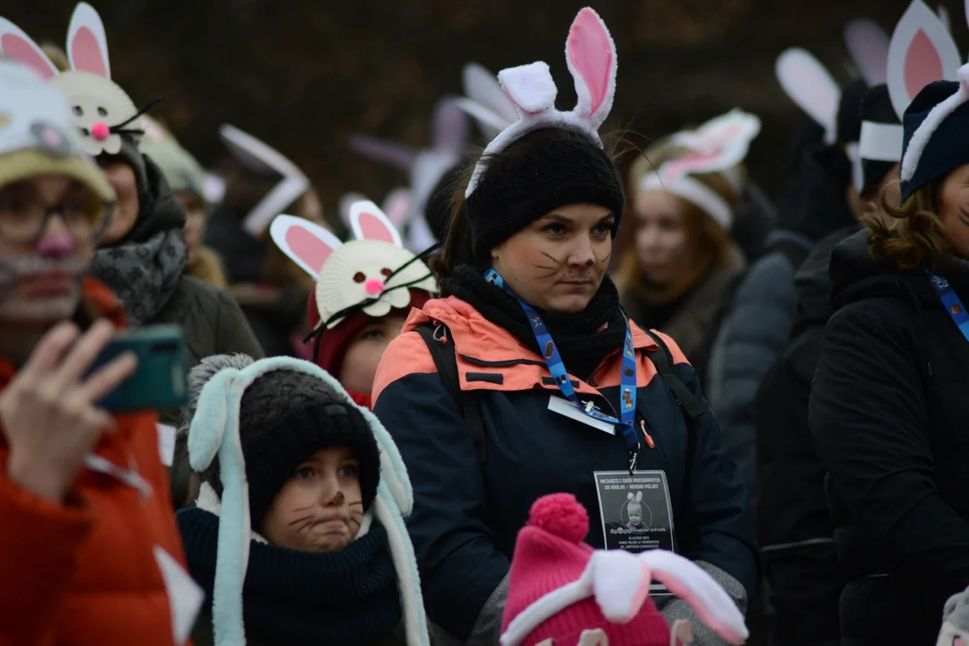 Rekord Polski dla Bartoszka Jędrasika chorego na SMA. W Tarnobrzegu zgromadziło się ponad 500 osób przebranych za króliki