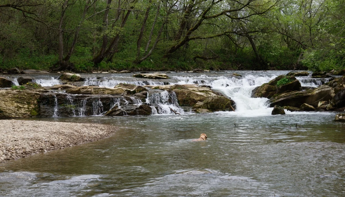 Urokliwe miejsce na rzece Olszanka