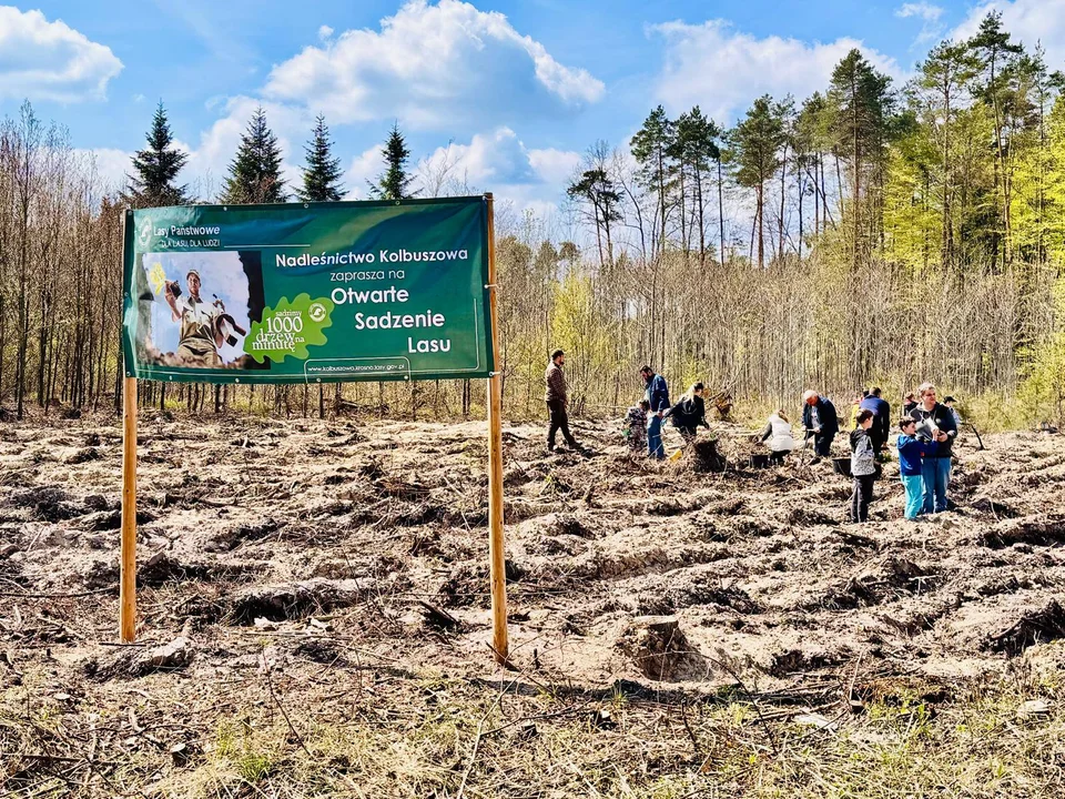 Otwarte sadzenie lasu w Kolbuszowej 2026