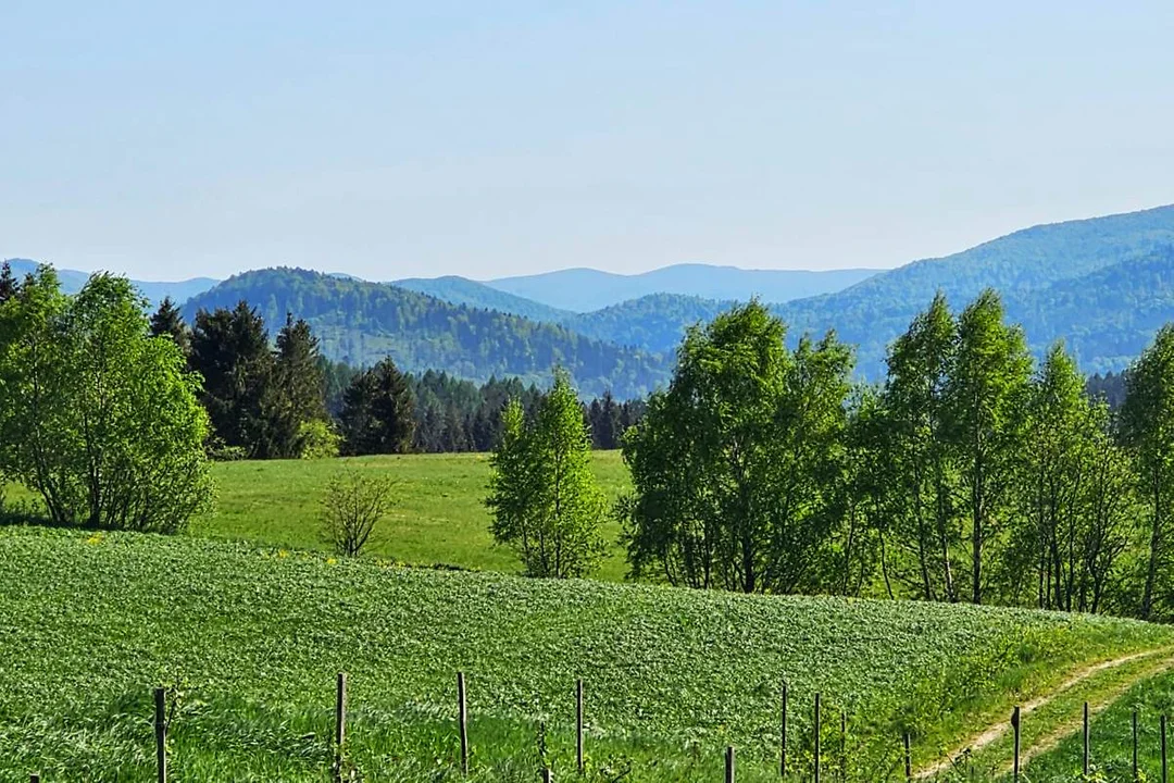 Lutowiska. Panorama z punktu widokowego