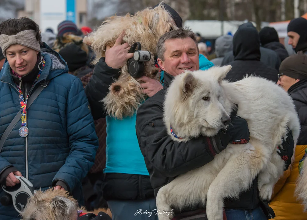 8. Bieg "Policz się z cukrzycą" w Stalowej Woli