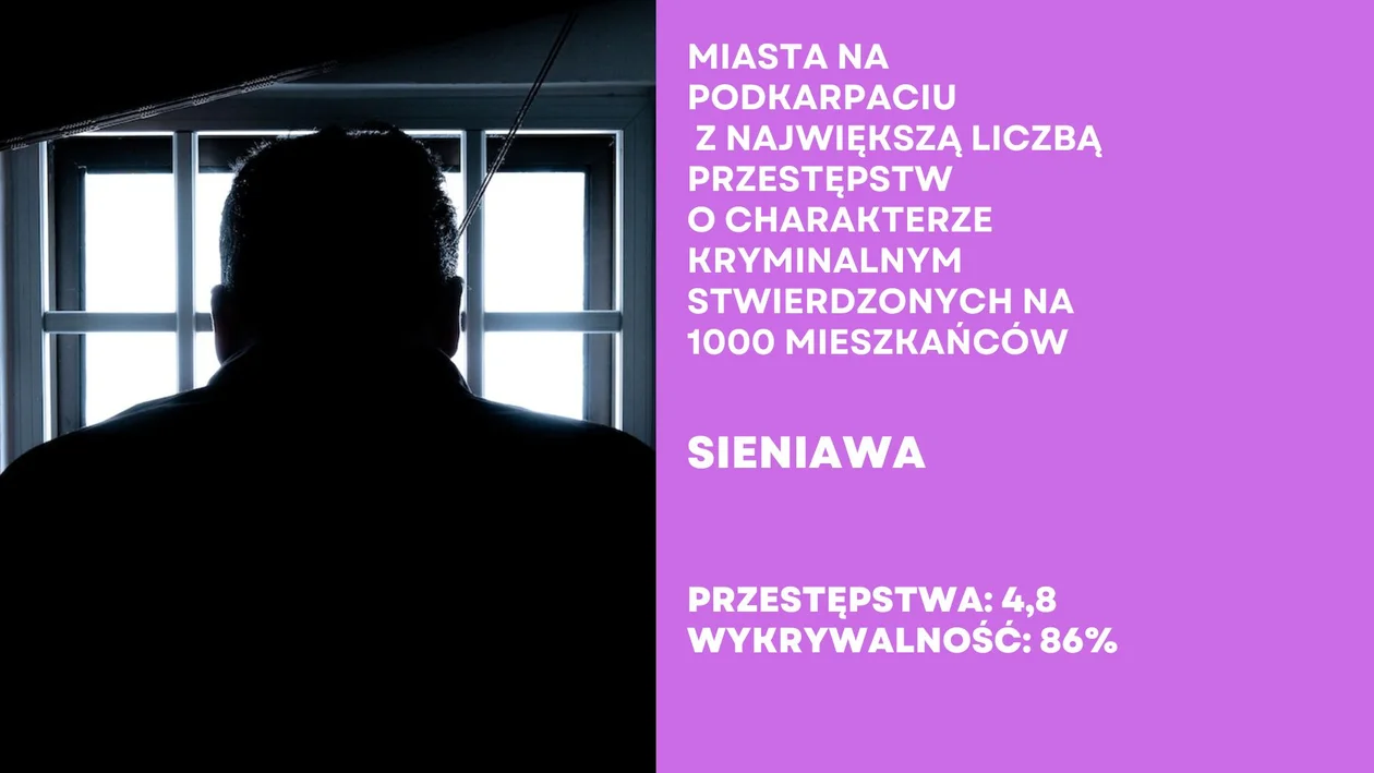 Miasta na Podkarpaciu - gdzie dochodzi do największej liczby przestępstw kryminalnych?