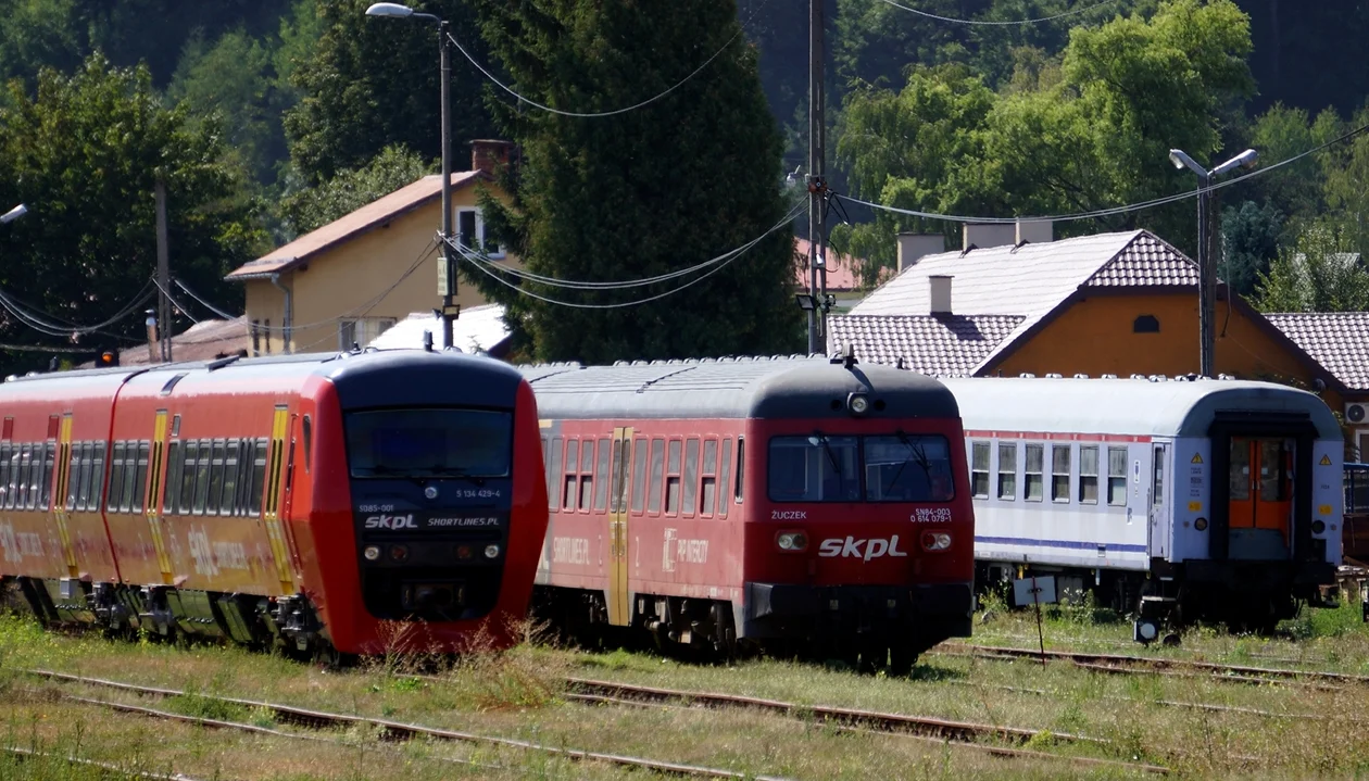 Jeden z dwóch połączeń kolejowych TLK "Wetlina" z Zagórza do Krakowa może zostać zlikwidowany. Radni wystosowali apel do PKP Intercity - Zdjęcie główne