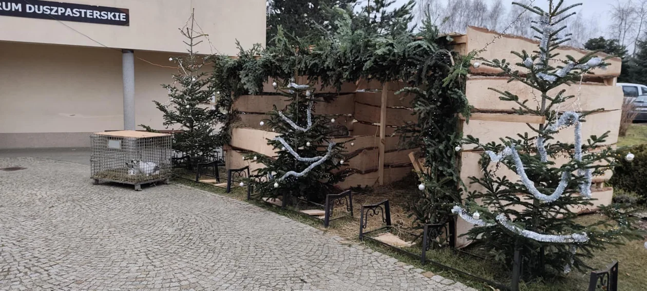 Żywa szopka w Rzeszowie