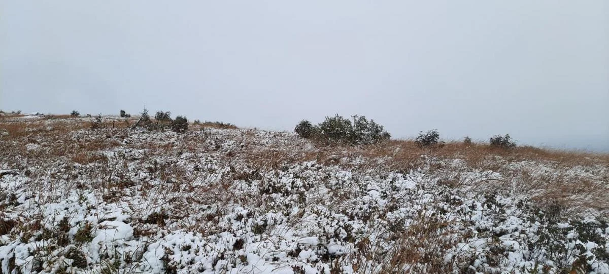 Pierwszy śnieg w Bieszczadach