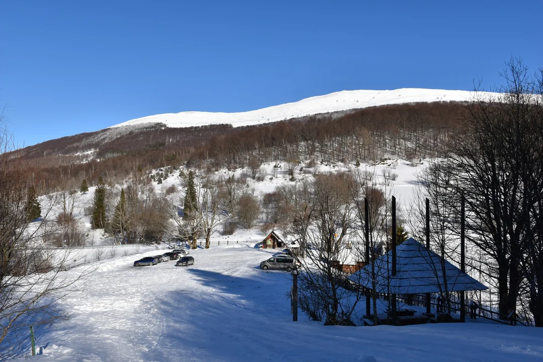 Przełęcz Wyżniańska w zimowej szacie. To ważny punkt na turystycznej mapie Bieszczadów [ZDJĘCIA] - Zdjęcie główne