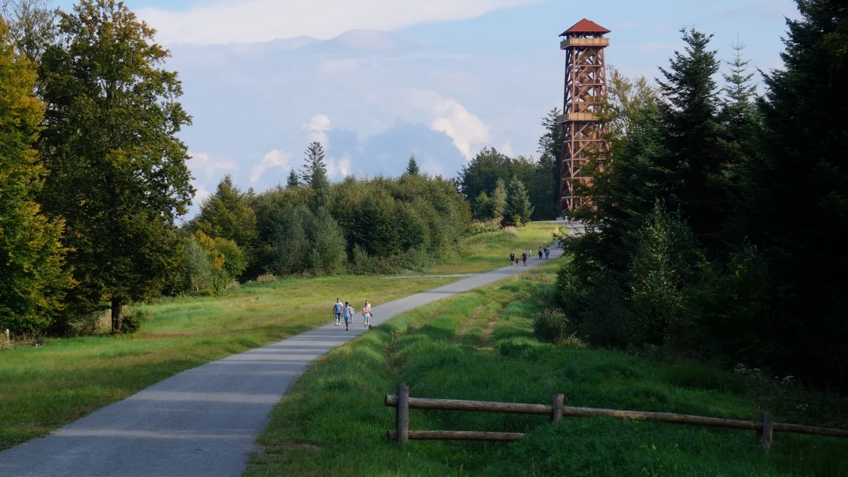 Wieża widokowa na Holicy. Widok na Bieszczady i okoliczne tereny zapiera dech w piersiach [ZDJĘCIA] - Zdjęcie główne