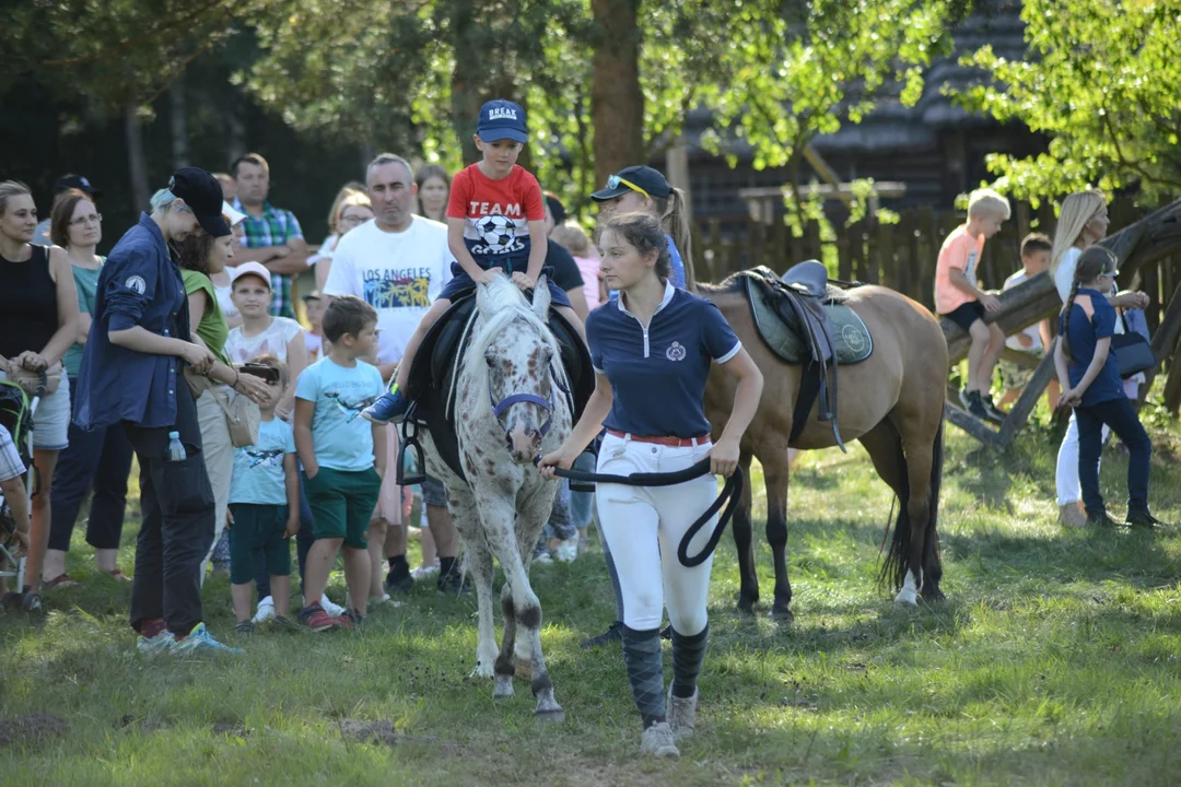 Skansen w Kolbuszowej i tłumy zwiedzających z całego Podkarpacia [ZDJĘCIA] - Zdjęcie główne