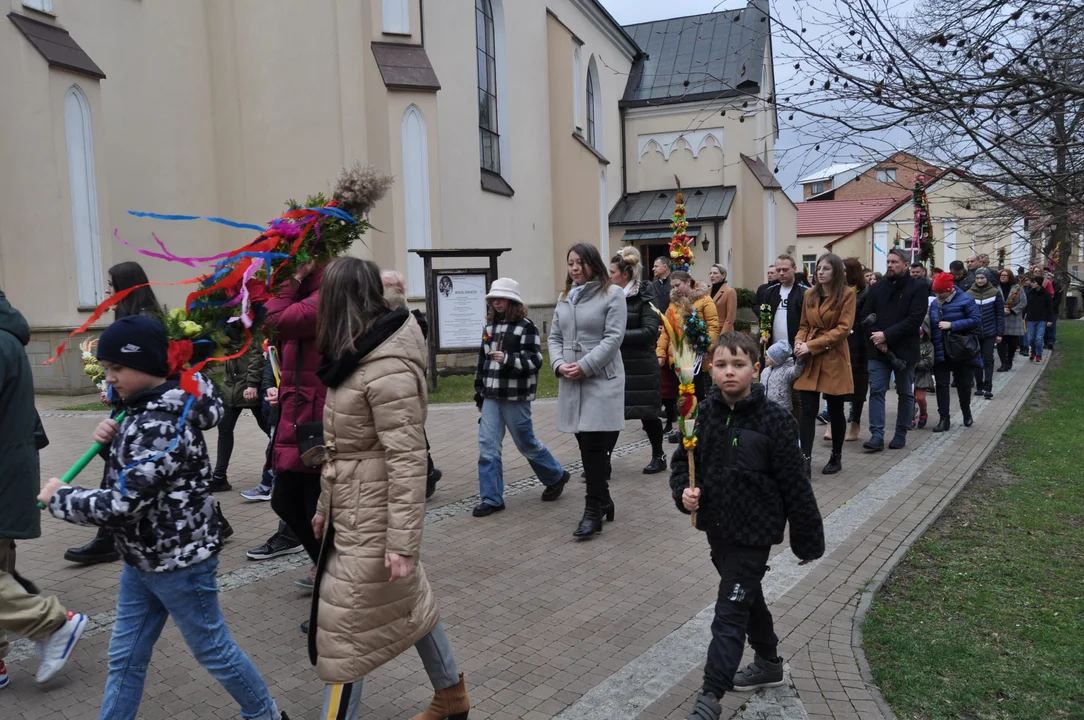 Parafianie w Przecławiu świętowali z pięknymi palmami własnego wykonania