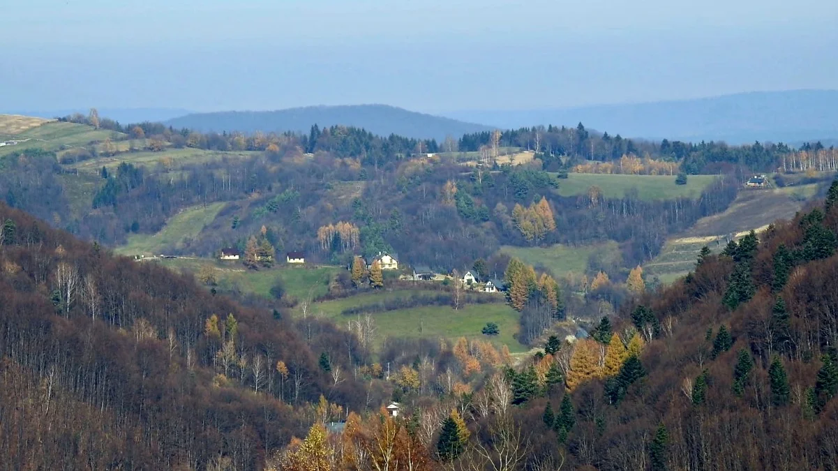 Terka późną jesienią