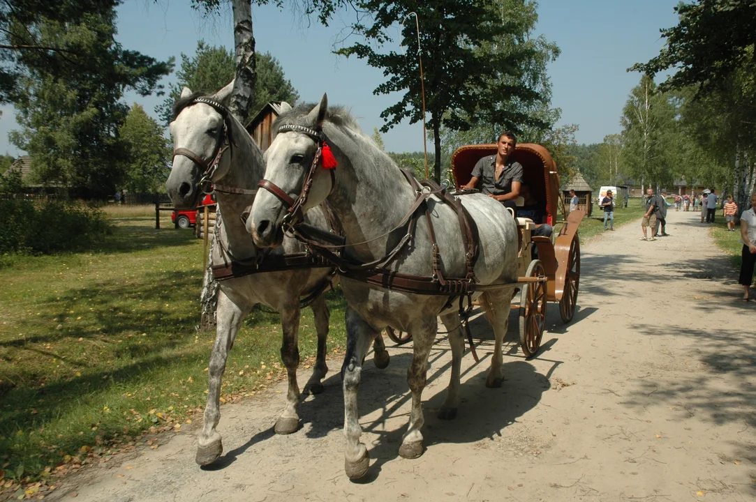 Koń, jaki jest.. - skansen w Kolbuszowej 2011