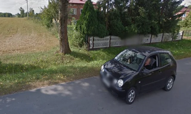 Mieszkańcy Dzikowca na Google Street View