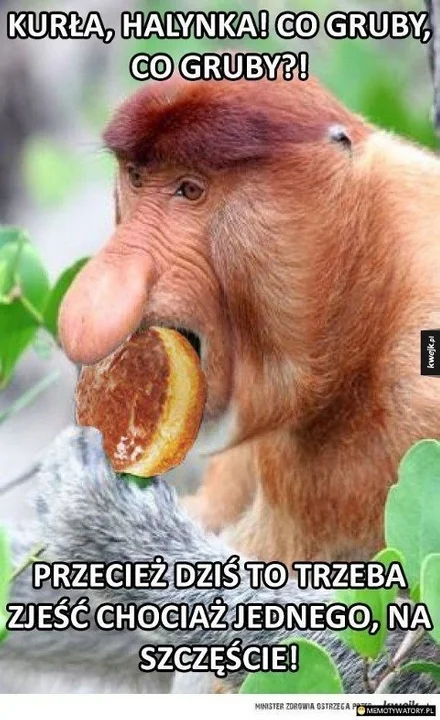 Smacznego! Oto najlepsze memy na tłusty czwartek