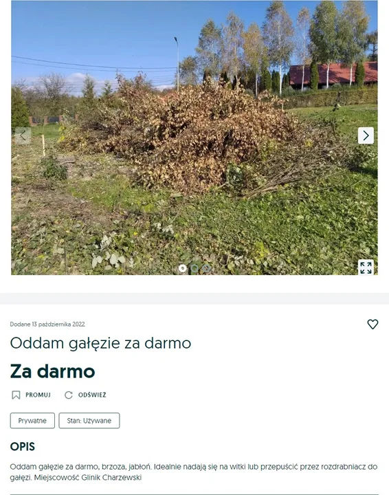 Te przedmioty rzeszowianie oddadzą za darmo. Przegląd ogłoszeń z OLX