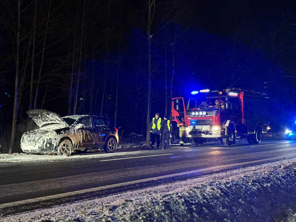 Pożar samochodu na krajowej "dziewiątce" między Cmolasem a Hadykówką [ZDJĘCIA] - Zdjęcie główne