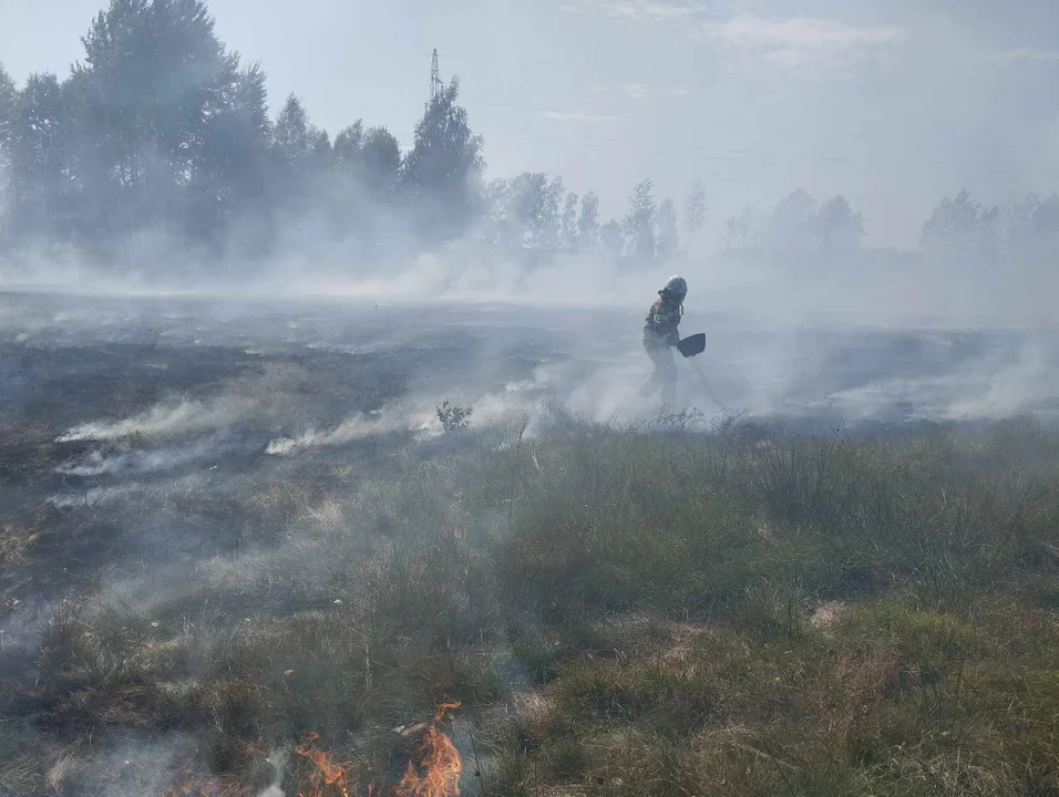 Pożary traw w powiecie kolbuszowskim [06.09.2024 r.]