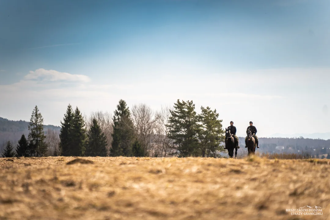 Patrole konne w Bieszczadach