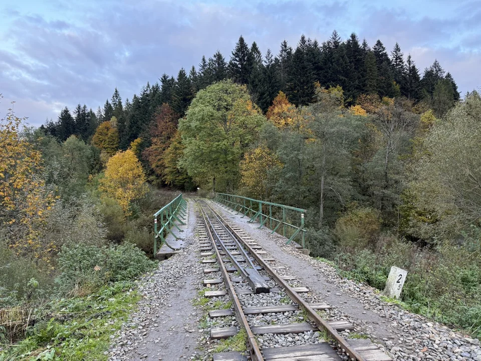 Rzeka Solinka w Cisnej