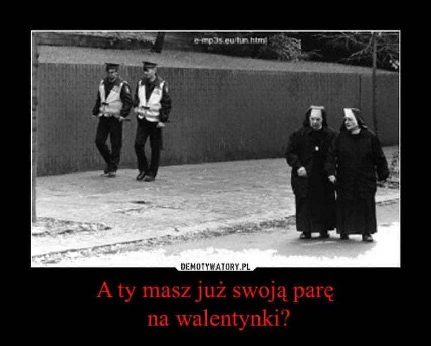 Walentynki, to czas pełen miłości, romantycznych gestów i… memów.