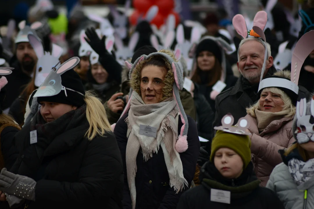 Rekord Polski dla Bartoszka Jędrasika chorego na SMA. W Tarnobrzegu zgromadziło się ponad 500 osób przebranych za króliki
