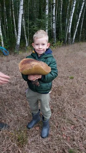 Zdjęcia naszych czytelników. Swoje okazy znaleźli w podkarpackich lasach