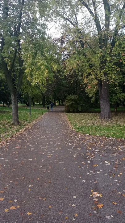 Jesienny Rzeszów. Złociste liście powoli pokrywają ulice [ZDJĘCIA]