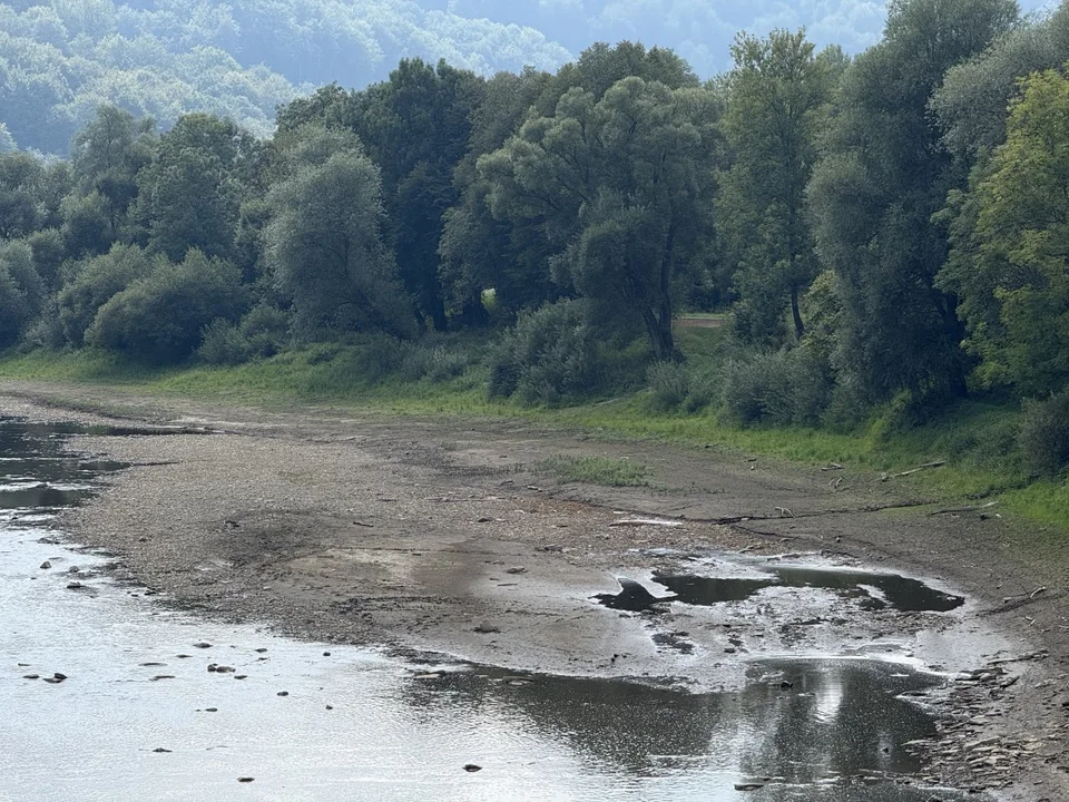 Niski poziom Sanu w Rajskiem