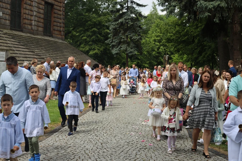 Boże Ciało 2023. Ulicami Gawłuszowic przeszła procesja [ZDJĘCIA] - Zdjęcie główne