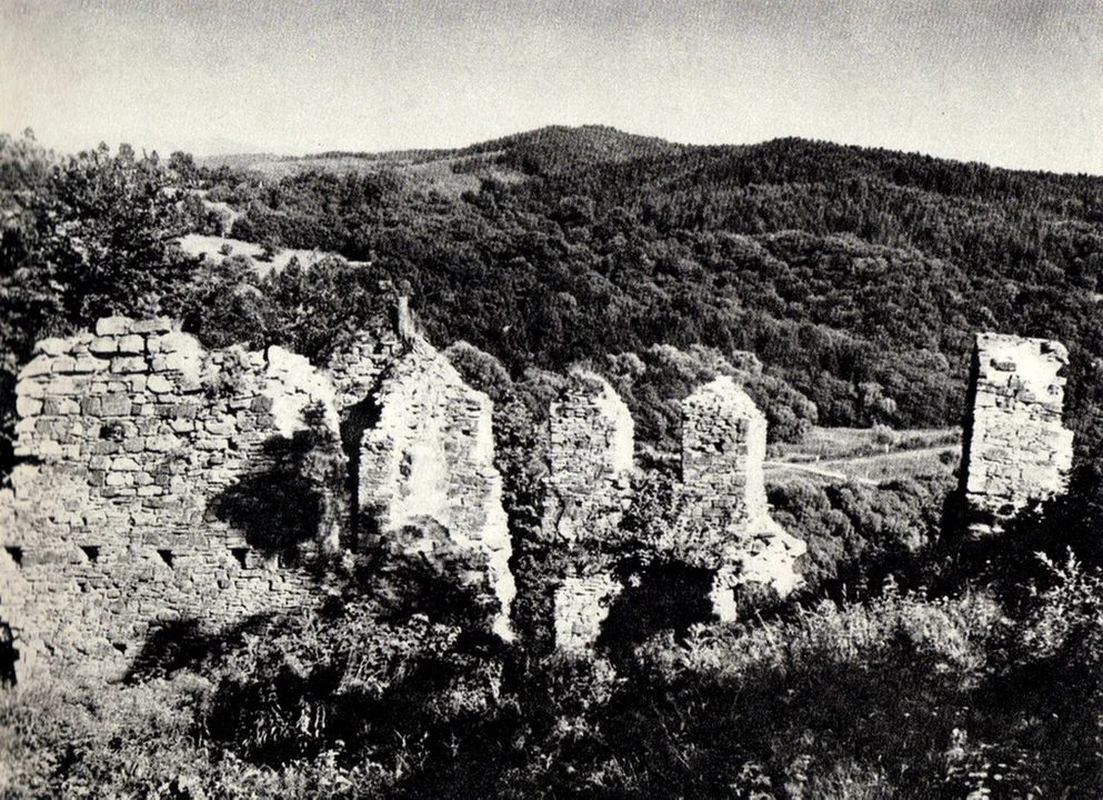 Zamek Sobień