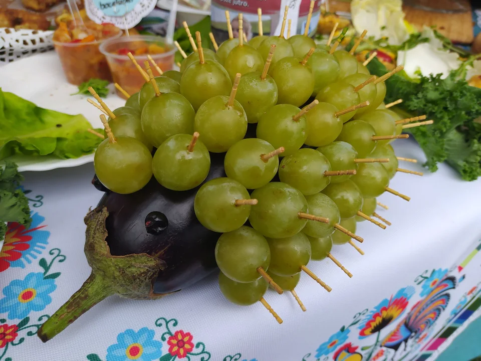 Dzień ziemniaka w Padwi Narodowej