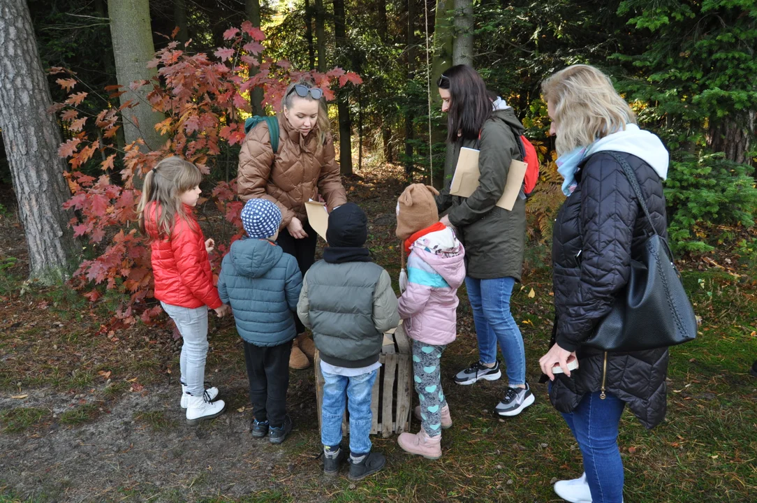 Mali leśni detektywi