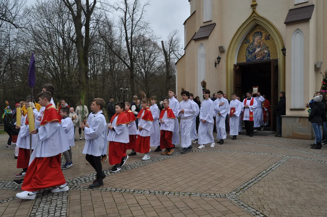 Parafianie w Przecławiu świętowali z pięknymi palmami własnego wykonania