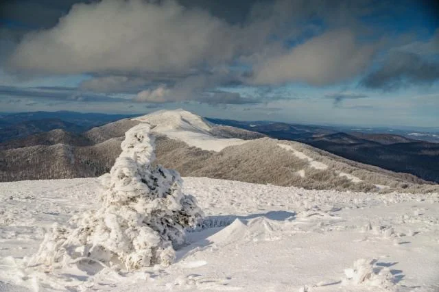 Bieszczady zimą - Połonina Wetlińska